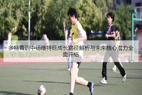多特青训中场维特延成长路径解析与未来核心潜力全面评估